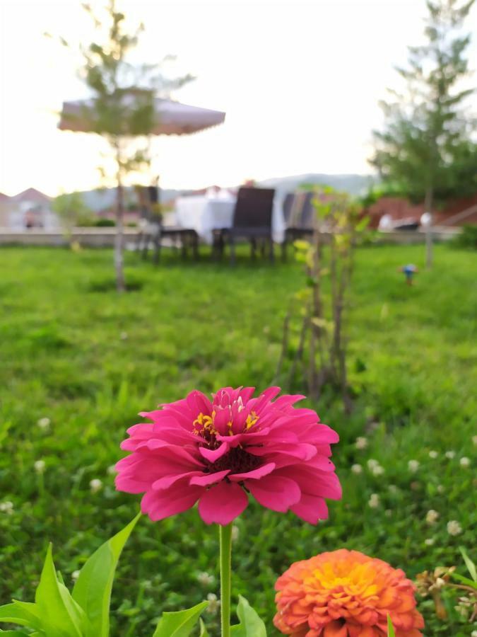 Bliss Inn Boutique Hotel Gabala Buitenkant foto