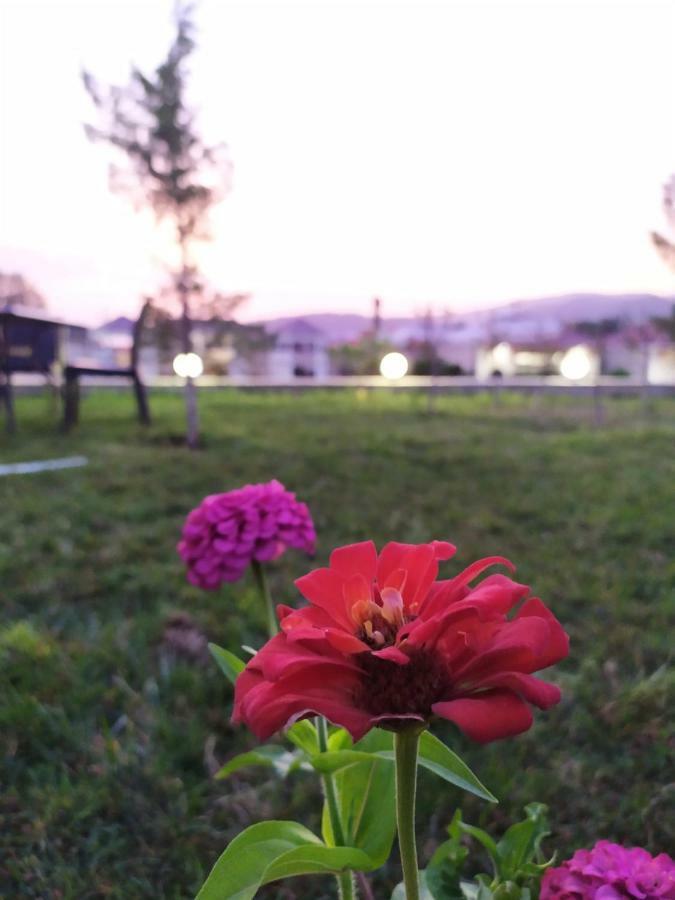 Bliss Inn Boutique Hotel Gabala Buitenkant foto